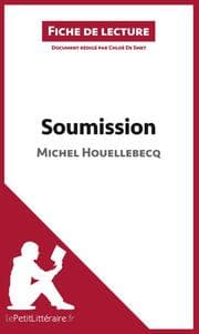 Cover von Soumission de Michel Houellebecq (Fiche de lecture)
