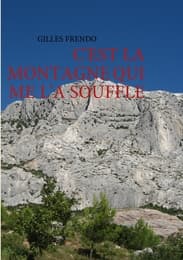 Cover von C'est la montagne qui me l'a soufflé