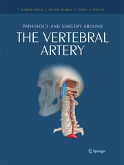Cover von Pathology and surgery around the vertebral artery