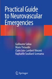 Cover von Practical Guide to Neurovascular Emergencies