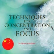 Cover von Techniques for concentration and focus in chinese mandarin