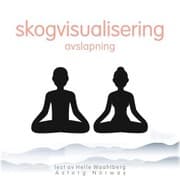 Cover von Skogvisualisering avslapning