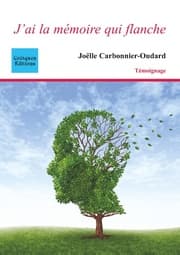 Cover von J'ai la mémoire qui flanche