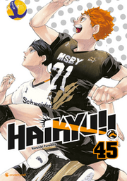 Cover von Haikyu!! - Band 45 (Finale)