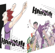 Cover von Haikyu!! Sammelbox 4 - Band 31-40 im Schuber