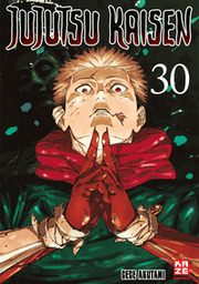 Cover von Jujutsu Kaisen - Band 30 (Finale)