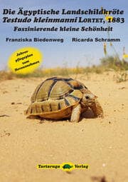 Cover von Die Ägyptische Landschildkröte Testudo kleinmanni Lortet, 1883