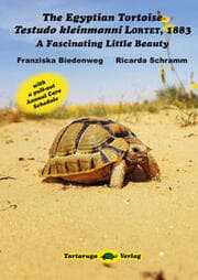Cover von The Egyptian Tortoise, Testudo kleinmanni Lortet, 1883