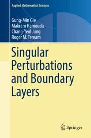 Cover von Singular Perturbations and Boundary Layers