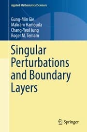 Cover von Singular Perturbations and Boundary Layers