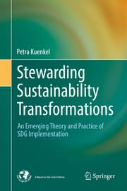 Cover von Stewarding Sustainability Transformations