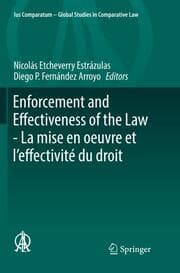Cover von Enforcement and Effectiveness of the Law - La mise en oeuvre et leffectivité du droit