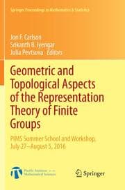 Cover von Geometric and Topological Aspects of the Representation Theory of Finite Groups