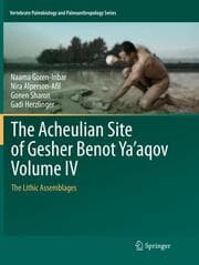 Cover von The Acheulian Site of Gesher Benot Yaaqov Volume IV