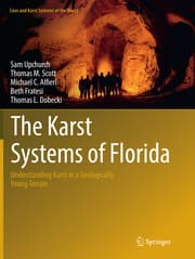Cover von The Karst Systems of Florida