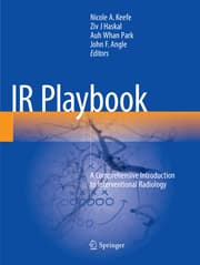 Cover von IR Playbook
