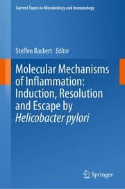Cover von Molecular Mechanisms of Inflammation: Induction, Resolution and Escape by Helicobacter pylori