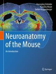 Cover von Neuroanatomy of the Mouse