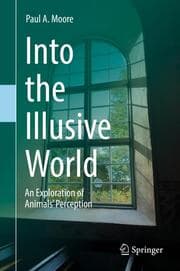 Cover von Into the Illusive World
