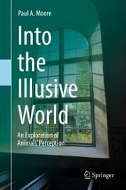 Cover von Into the Illusive World
