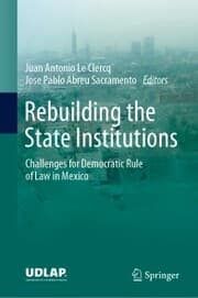 Cover von Rebuilding the State Institutions