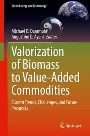 Cover von Valorization of Biomass to Value-Added Commodities