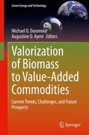Cover von Valorization of Biomass to Value-Added Commodities