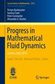 Cover von Progress in Mathematical Fluid Dynamics