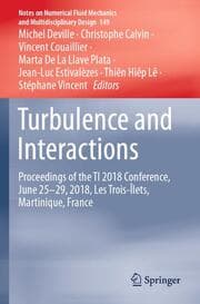 Cover von Turbulence and Interactions
