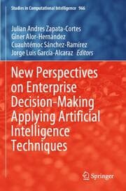Cover von New Perspectives on Enterprise Decision-Making Applying Artificial Intelligence Techniques