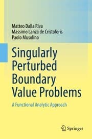 Cover von Singularly Perturbed Boundary Value Problems
