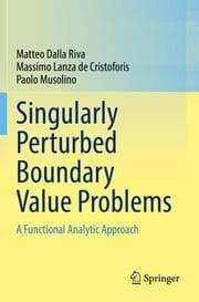 Cover von Singularly Perturbed Boundary Value Problems
