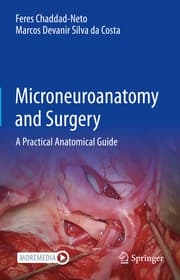 Cover von Microneuroanatomy and Surgery