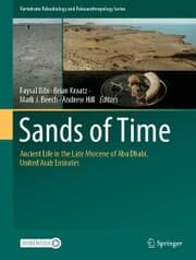 Cover von Sands of Time
