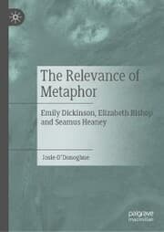 Cover von The Relevance of Metaphor