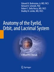 Cover von Anatomy of the Eyelid, Orbit, and Lacrimal System