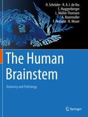 Cover von The Human Brainstem
