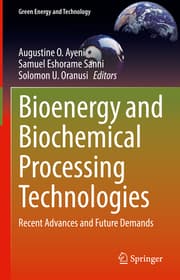 Cover von Bioenergy and Biochemical Processing Technologies