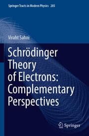Cover von Schrödinger Theory of Electrons: Complementary Perspectives