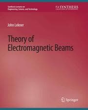 Cover von Theory of Electromagnetic Beams