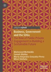 Cover von Business, Government and the SDGs