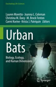 Cover von Urban Bats
