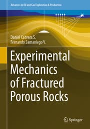 Cover von Experimental Mechanics of Fractured Porous Rocks