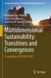 Cover von Multidimensional Sustainability: Transitions and Convergences