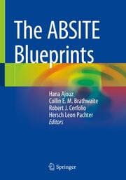 Cover von The ABSITE Blueprints