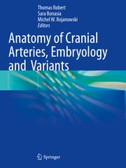 Cover von Anatomy of Cranial Arteries, Embryology and Variants
