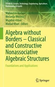Cover von Algebra without Borders - Classical and Constructive Nonassociative Algebraic Structures