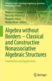 Cover von Algebra without Borders - Classical and Constructive Nonassociative Algebraic Structures