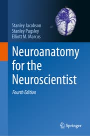 Cover von Neuroanatomy for the Neuroscientist