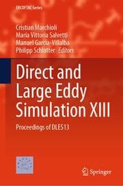 Cover von Direct and Large Eddy Simulation XIII